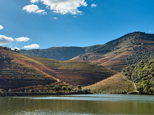 Where in the World is Peggy Peg? Douro Valley in Portugal