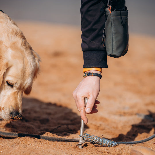 PetPeg 2.0 • Single Item (HP63)