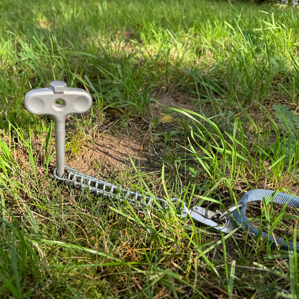 PetPeg 2.0 • Single Item (HP63)